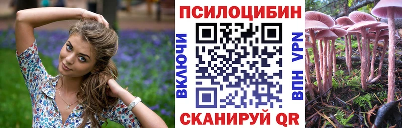 Псилоцибиновые грибы Psilocybine cubensis  Грязовец 